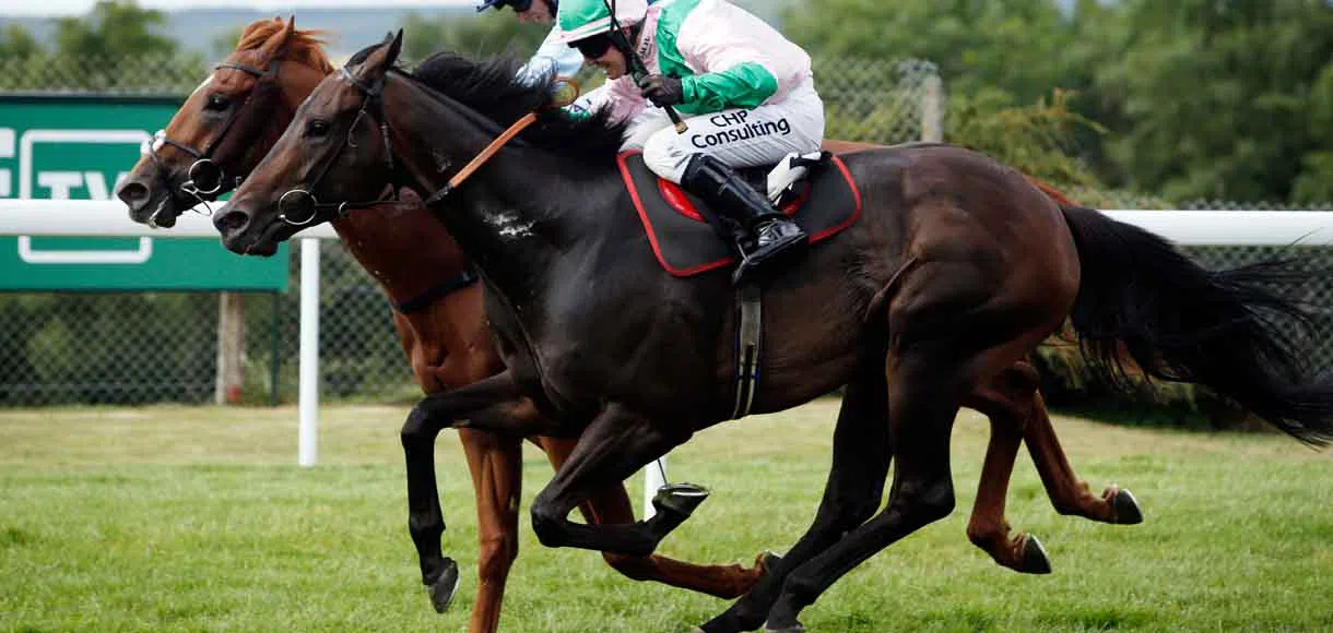 Getting high in Scottish sprints has never been so profitable