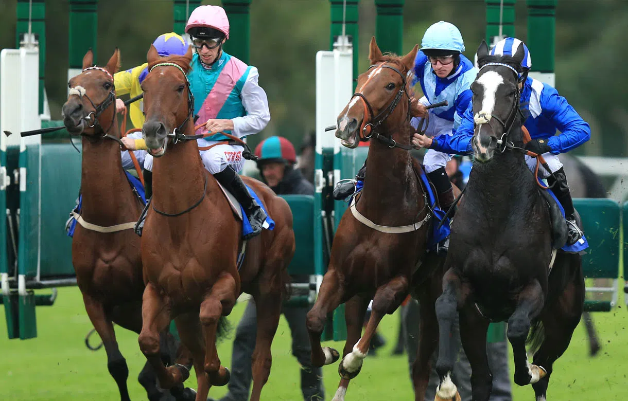 Mange All 14/1 to give Haggas record-equalling fourth Betway Lincoln