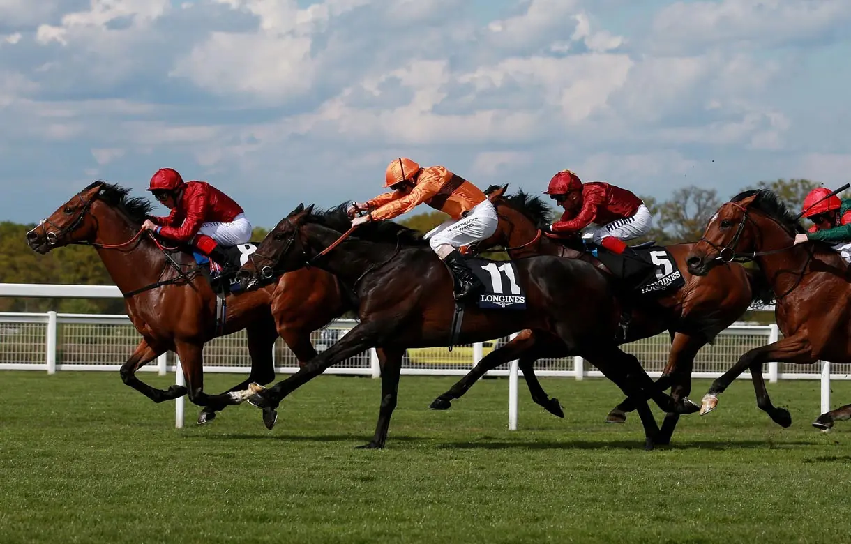 Royal Ascot day 3: Ground and trip perfect for Mizzou to strike gold