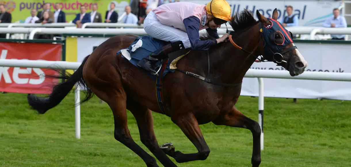 Cambridgeshire Express not for stopping