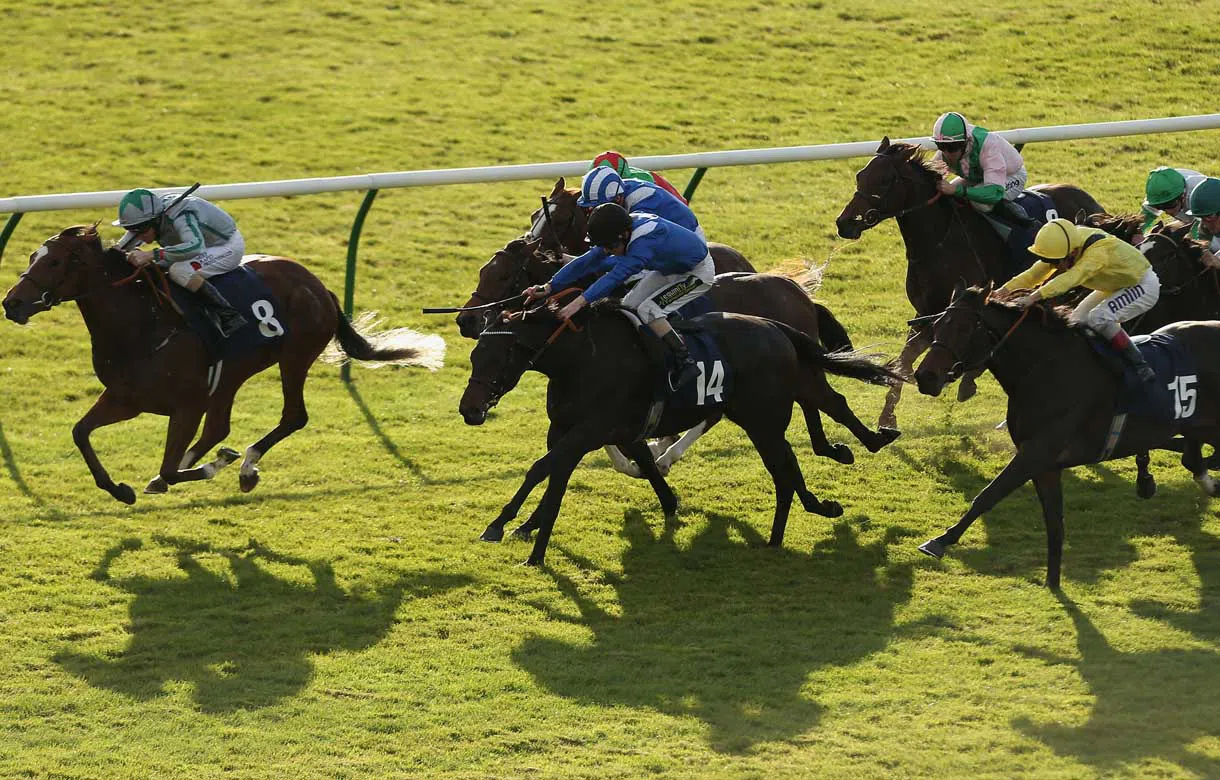 Betway Chester Cup – a pace analysis of Chester