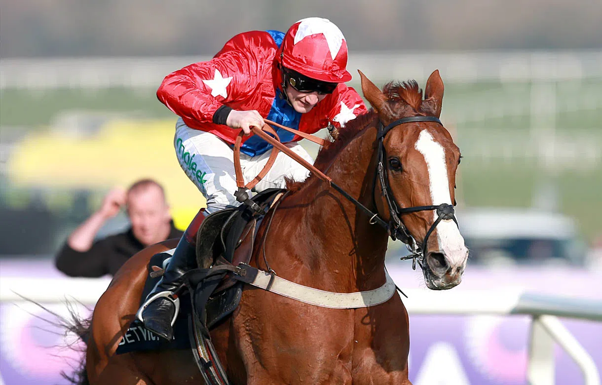 Gary Moore: Sire De Grugy schooled for the first time today since his accident