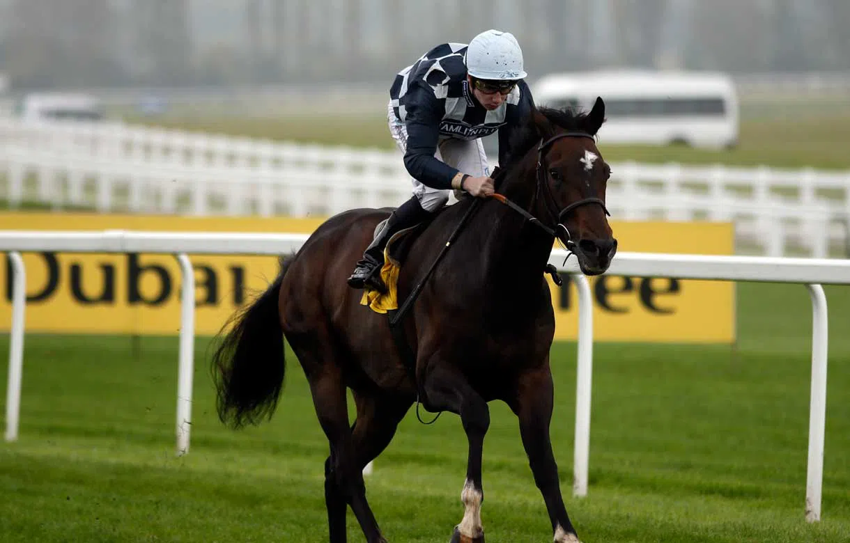 Air Pilot Can Fly To Victory In Huxley Stakes