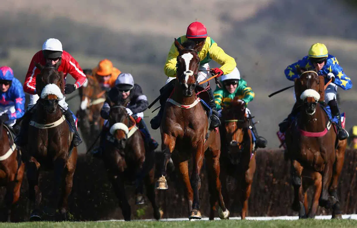 Grand Jesture and Somersby can be punters’ pals in jumps finale