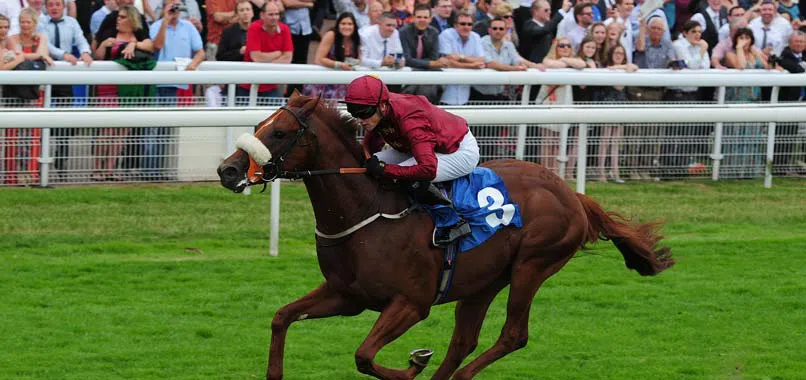 Take advantage of winning Streak in Temple Stakes