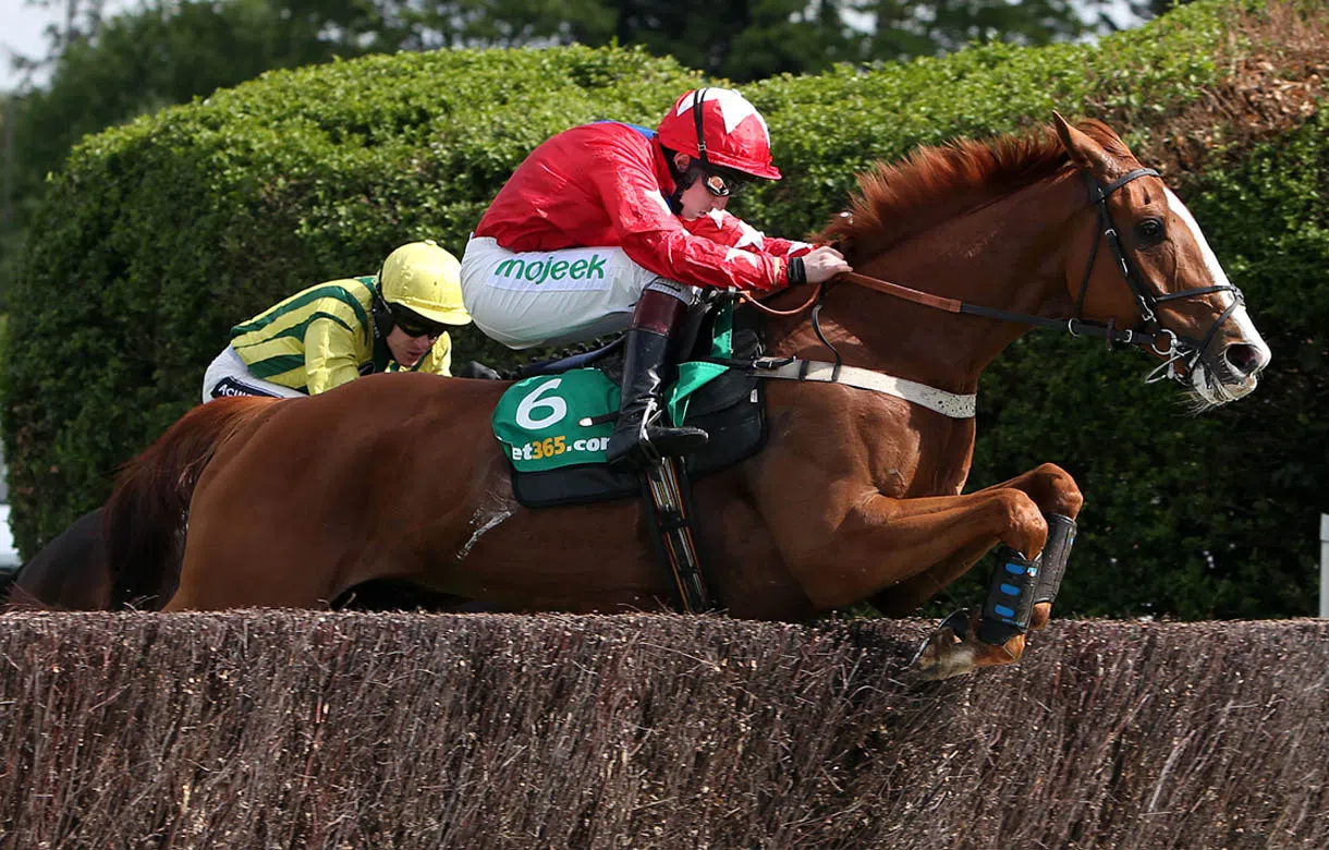 Gary Moore update on Sire De Grugy