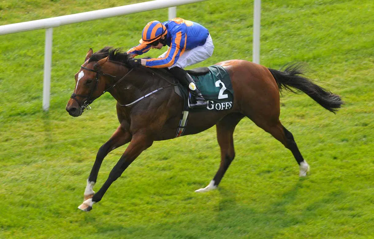 2000 Guineas: Gleaneagles won’t be below par in 2000 Guineas