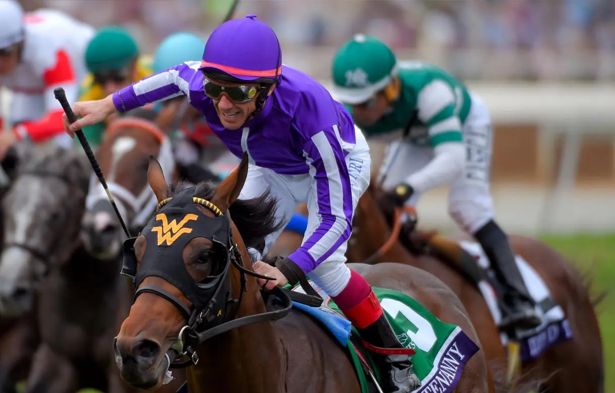 Royal Ascot day 4: Another Ward winner would be a real Hoot