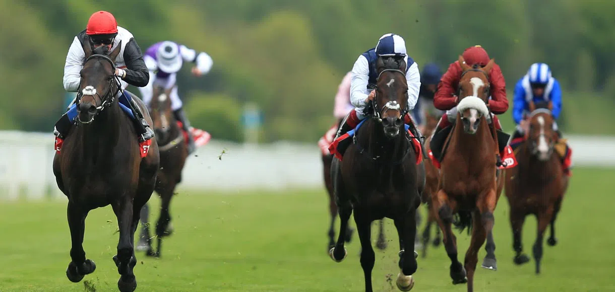 Golden Horn unlikely to turn Eclipse into a procession