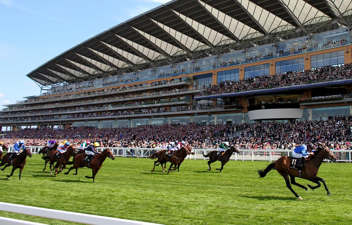 Saturday horse racing tips 19th December 2020