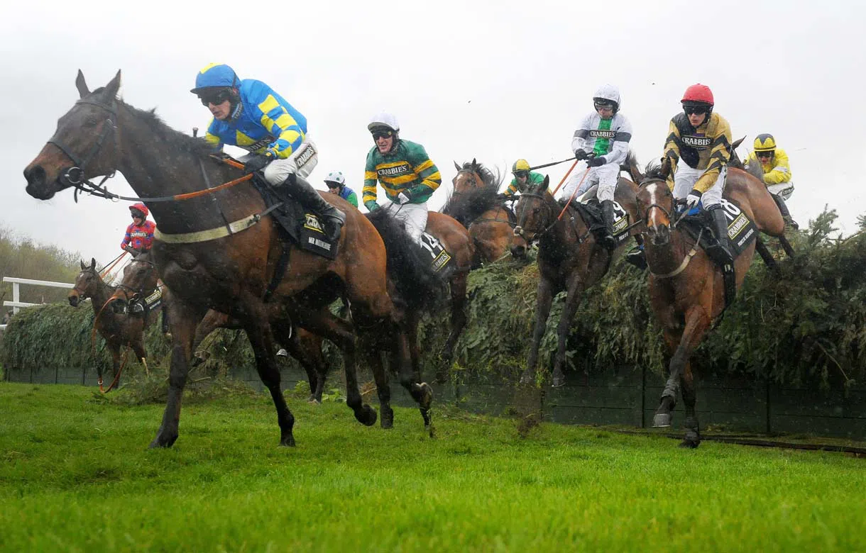 How to pick a horse for the Grand National