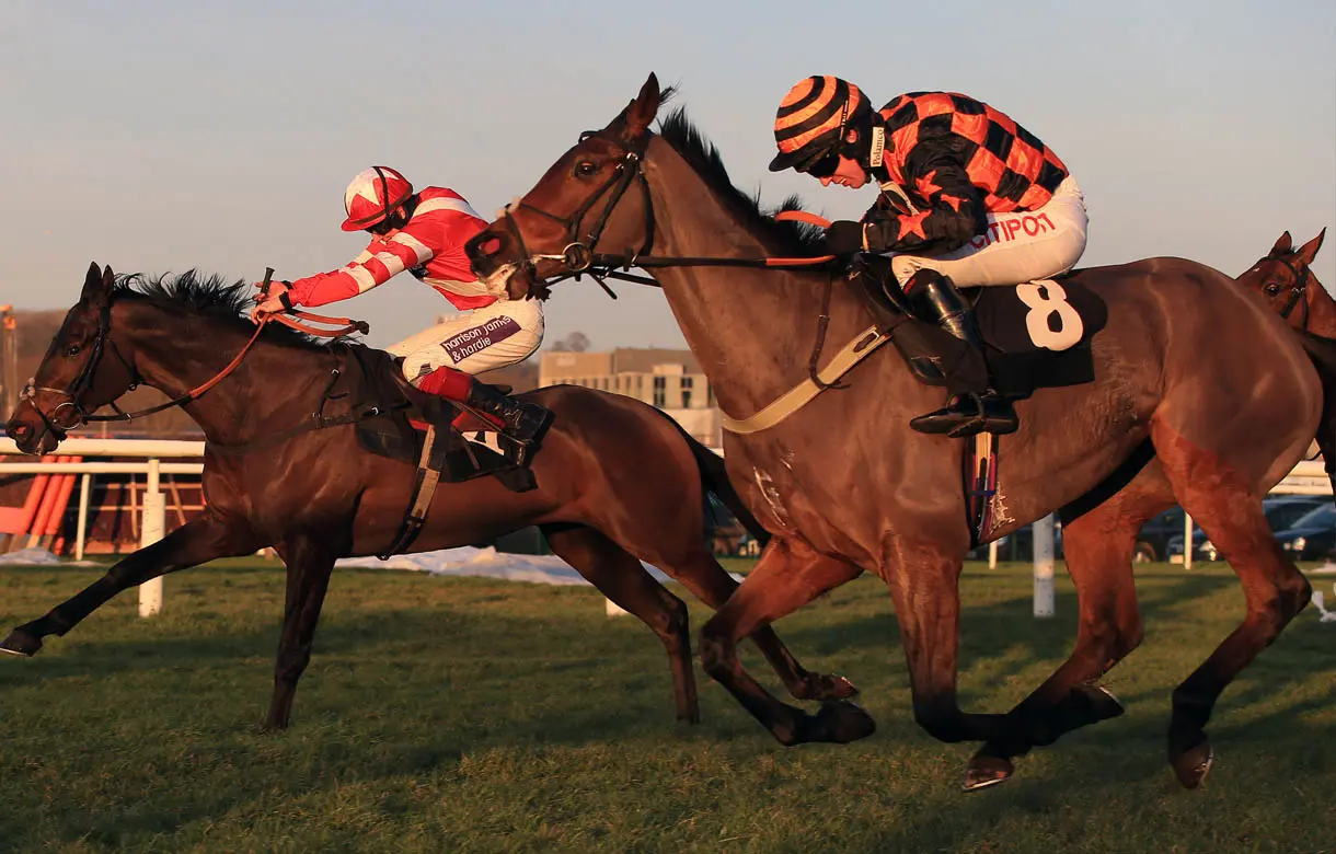 Polamco is a hot tip for a cold day at Sandown