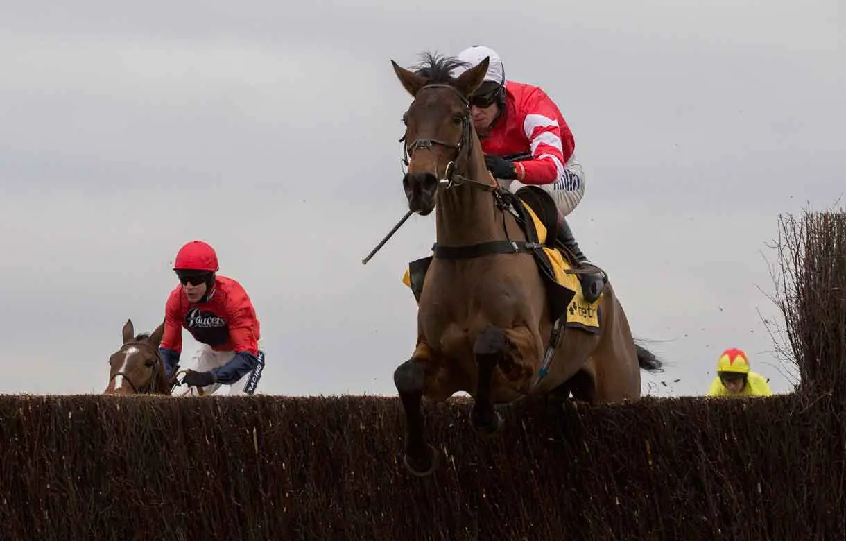 Conygree Not A Novice Bet In The Cheltenham Gold Cup