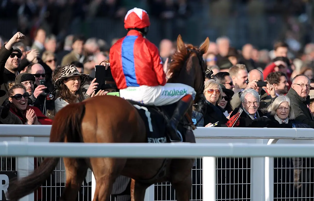 Betway Champion Chase: The Trailer
