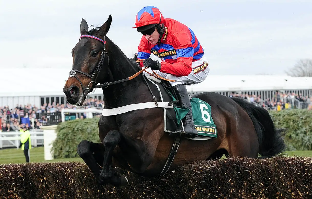 Sprinter Sacre Can Bring The House Down With Third Festival Win In Betway Champion Chase