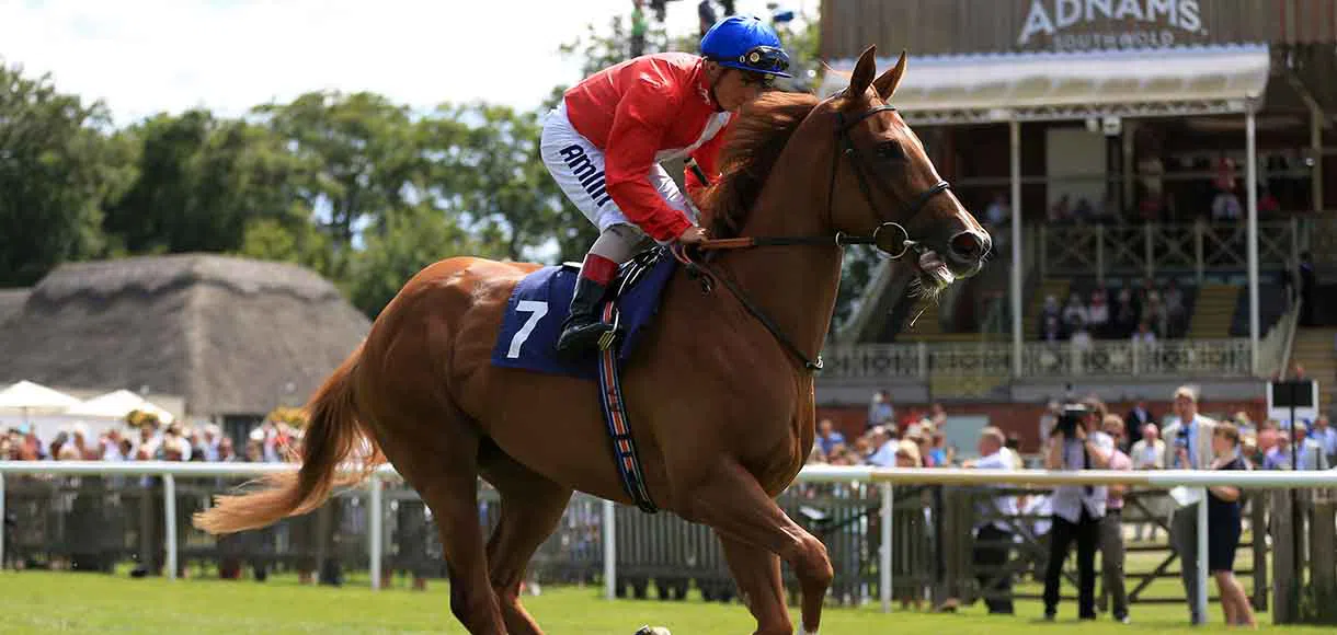 Change of headgear could see Musaddas crowned in Clipper Logistics Handicap