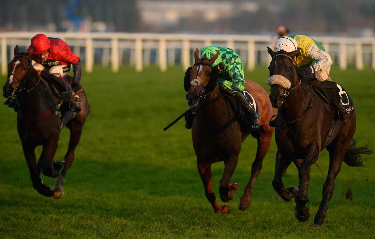 Channel 4 Racing: Potential 2000 Guineas clues on show in a high quality Greenham at Newbury But don’t disregard the big handicaps on the flat and over jumps