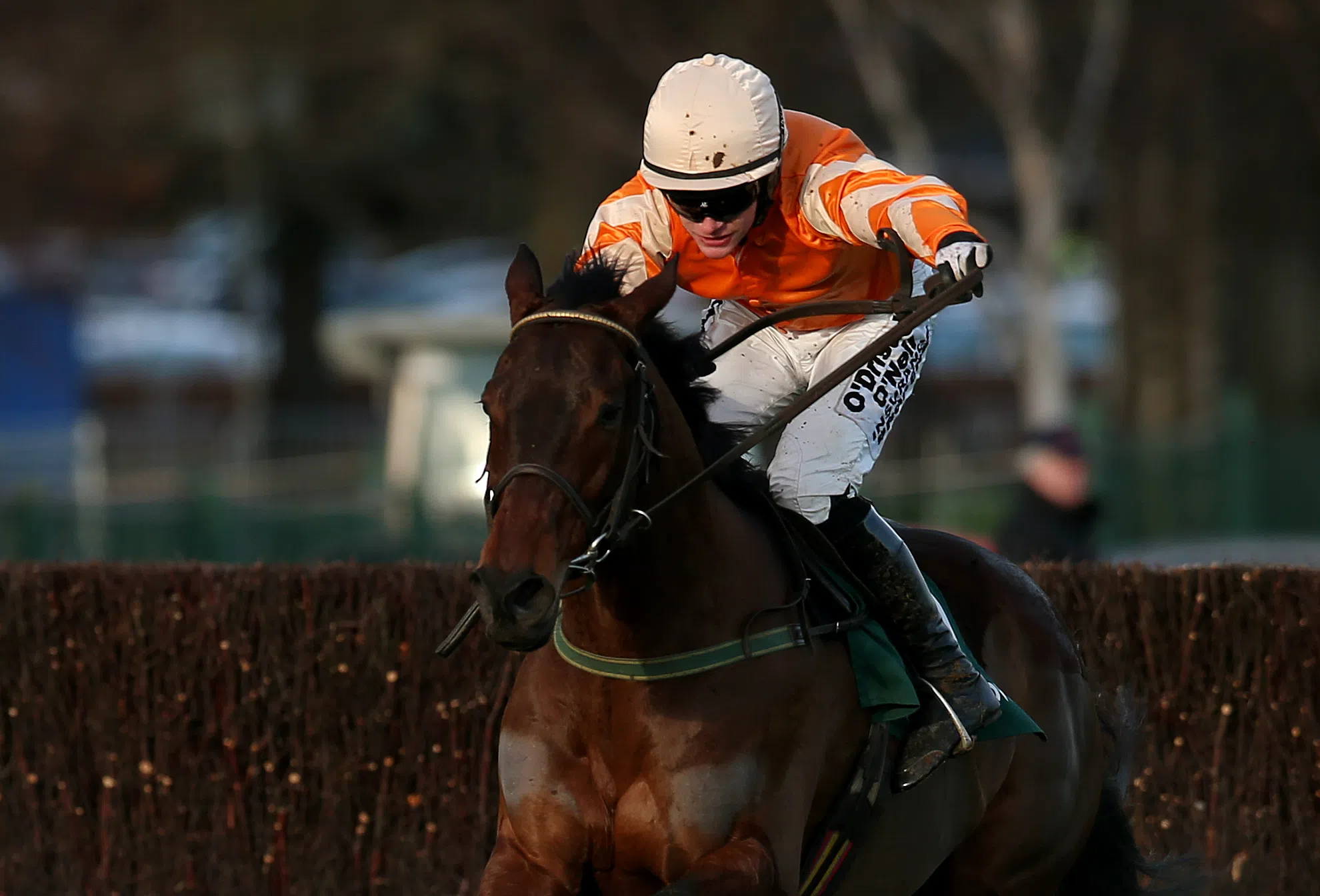 Twinlight and Special Tiara both 20/1 for Betway Champion Chase after festive wins