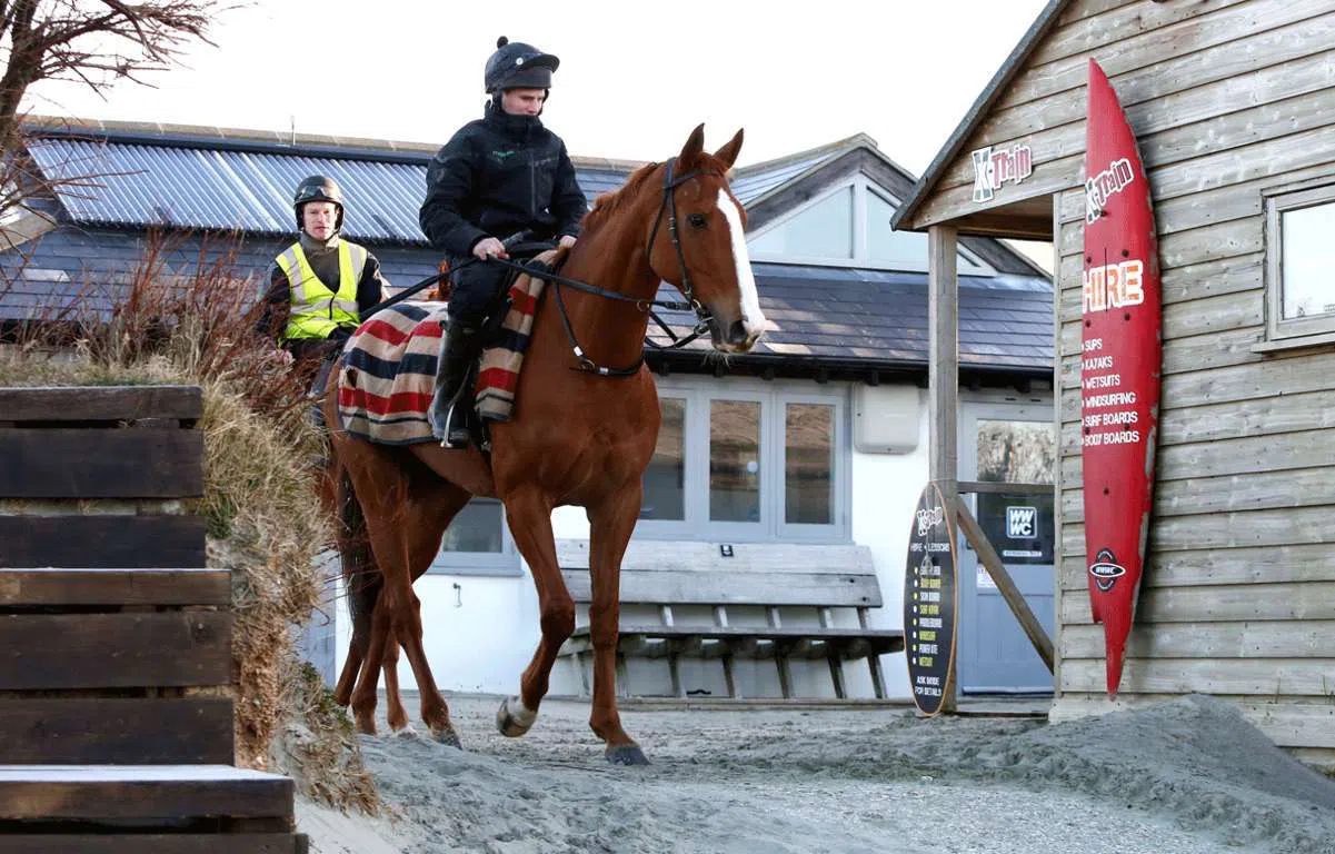 Sire De Grugy prepares for his date with destiny in the Betway Champion Chase