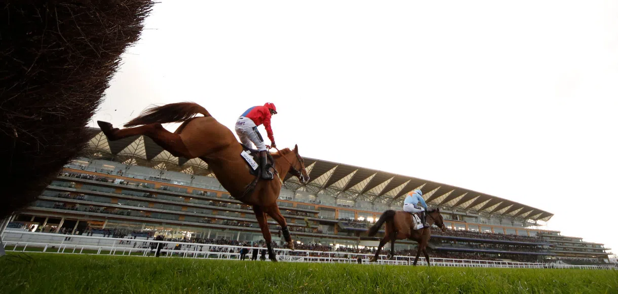 Gary Moore: Sire De Grugy set to run at Ascot on Saturday