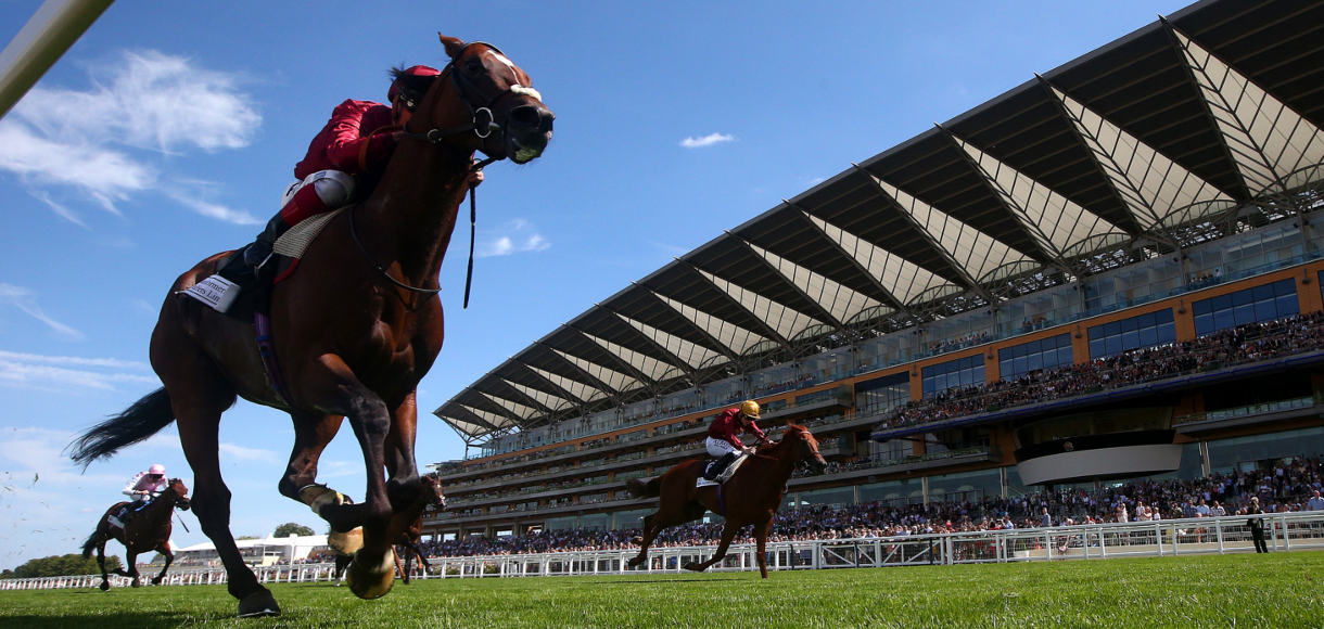Horse racing betting: Tips for Ascot, Lingfield and Haydock