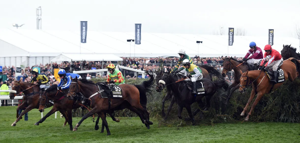 The Algerithm: How to filter the field and find a Grand National winner