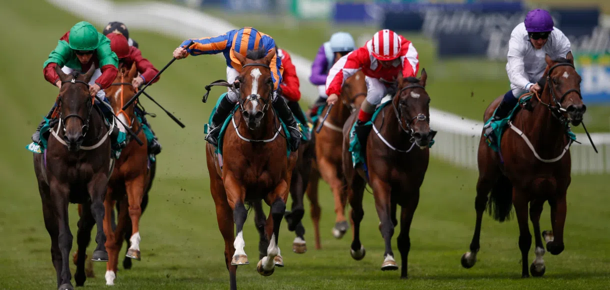 Betting calculator