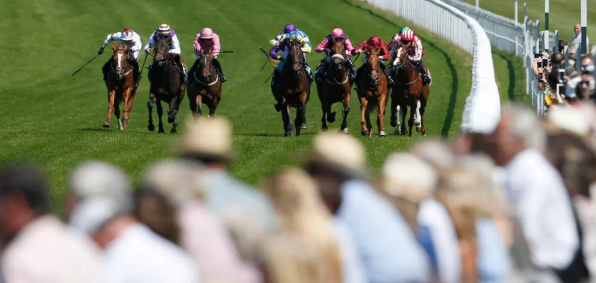 What is a Trixie bet?