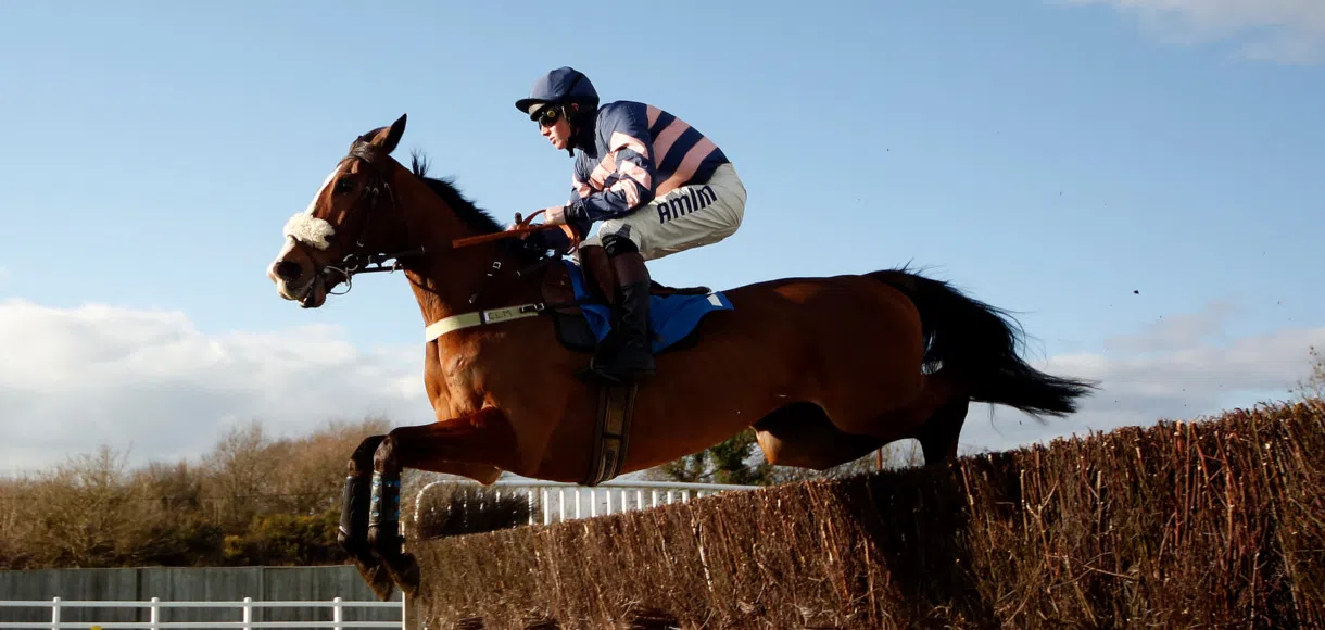 Gary Moore: Cheltenham Festival is going to come too soon for Ar Mad