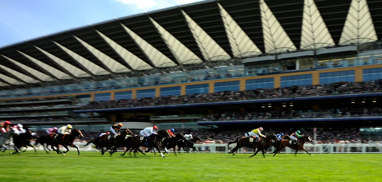 Saturday horse racing tips for Champions Day at Ascot