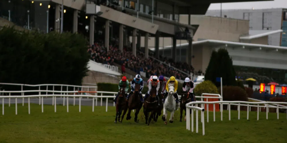 Saturday racing tips for Leopardstown and Sandown 01 02 20