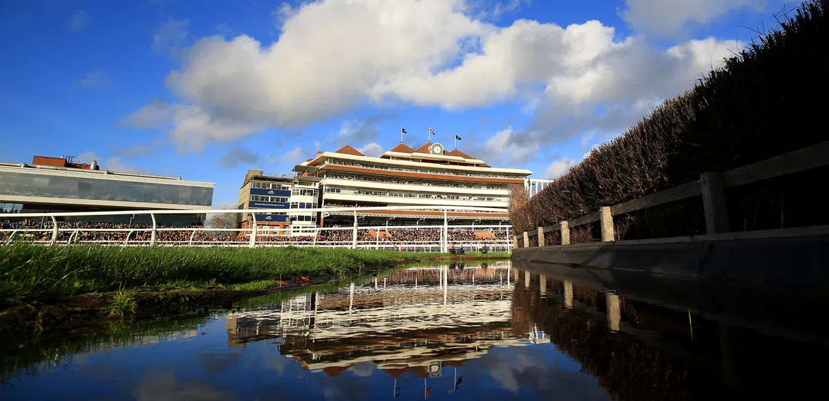 Mad Jack Mytton looks great each-way value at Newbury