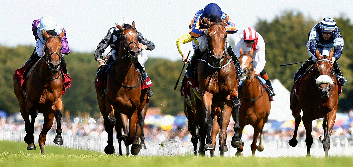 Horse racing betting: Glorious Goodwood Friday tips