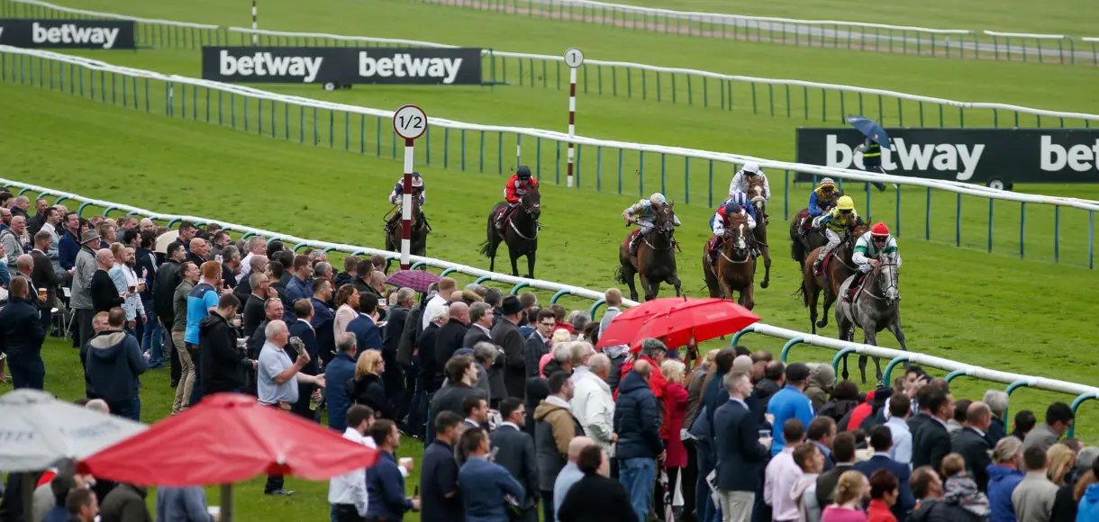 Horse racing tips: Saturday tips for Ascot, Haydock, Newmarket