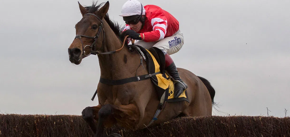 8 things you should know about Richard Johnson