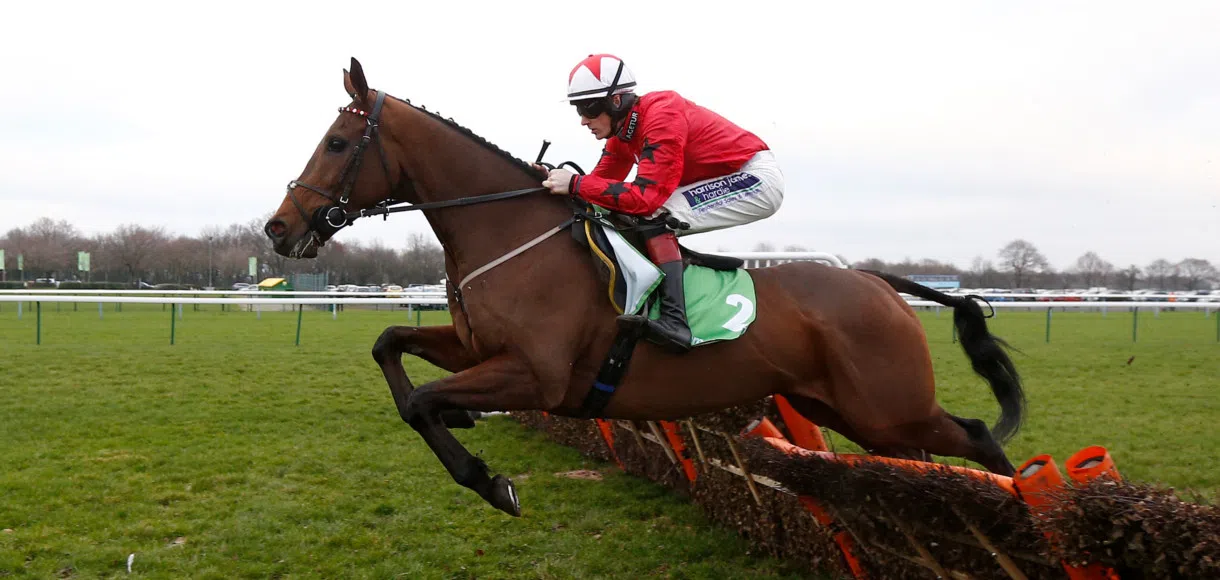Richard Johnson: The New One would have a big shout in the Stayers’ Hurdle