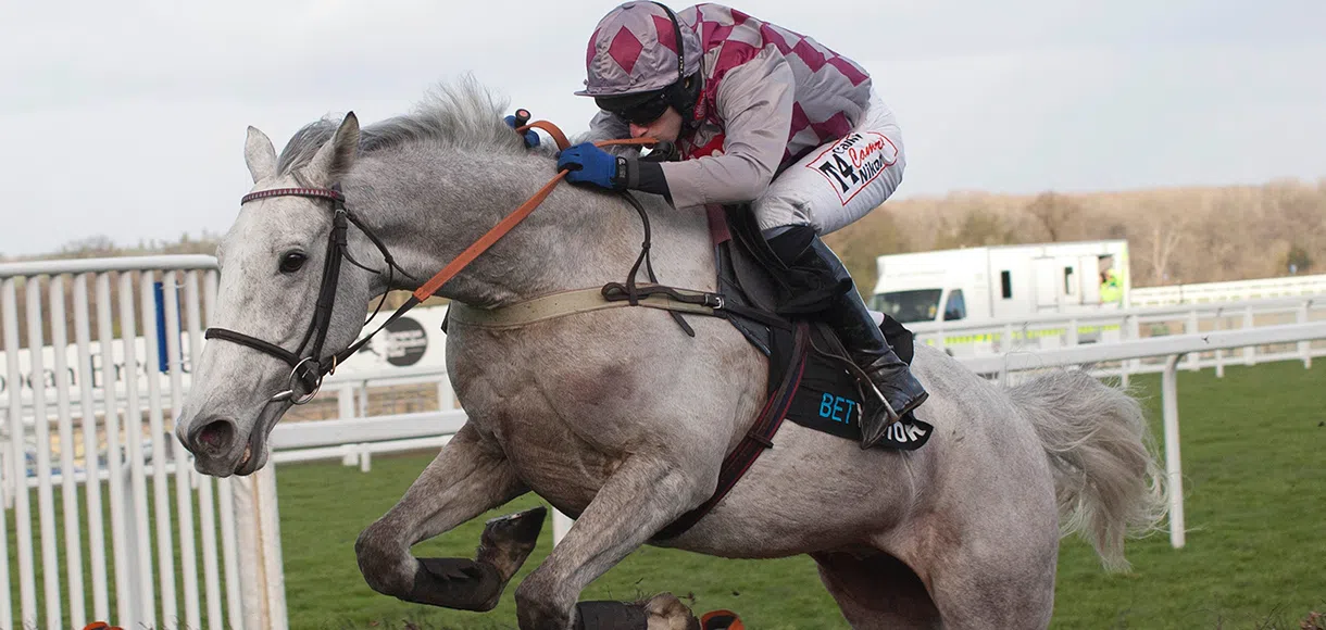 Everything in Place for Smad to win Hennessy