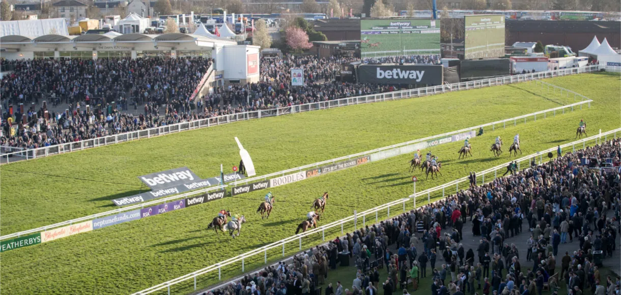 Cheltenham November Meeting preview