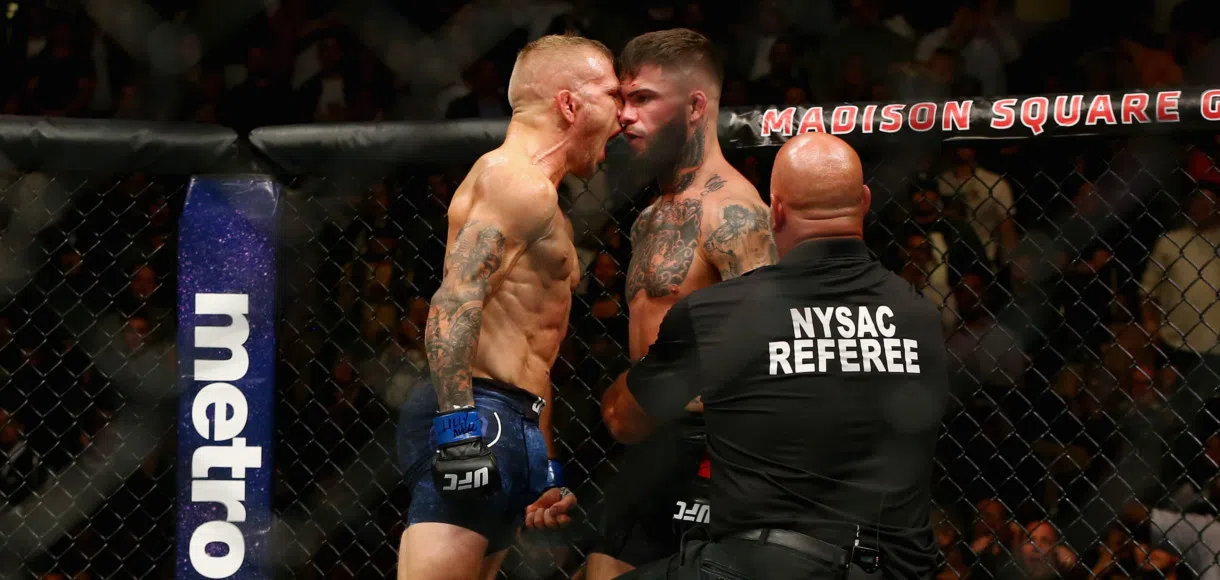 UFC Betting: Tips for Dillashaw v Garbrandt 2 at UFC 227