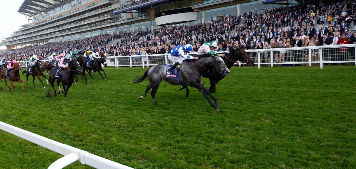 Saturday racing tips: Right Touch is good value for the Challenge Cup