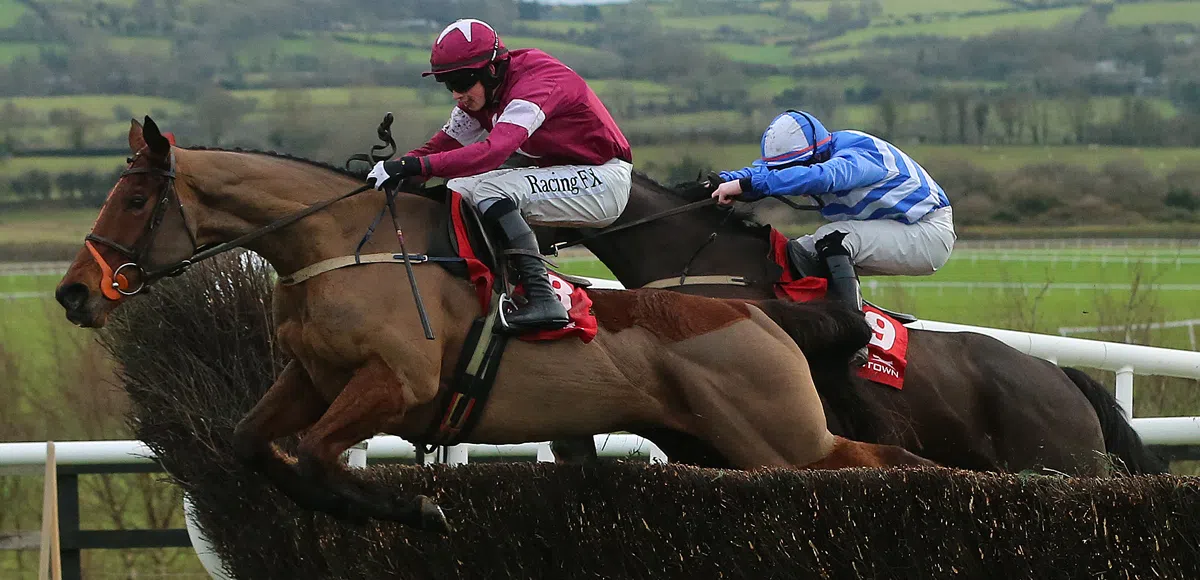 Measureofmydreams has a great chance in the Scottish Grand National