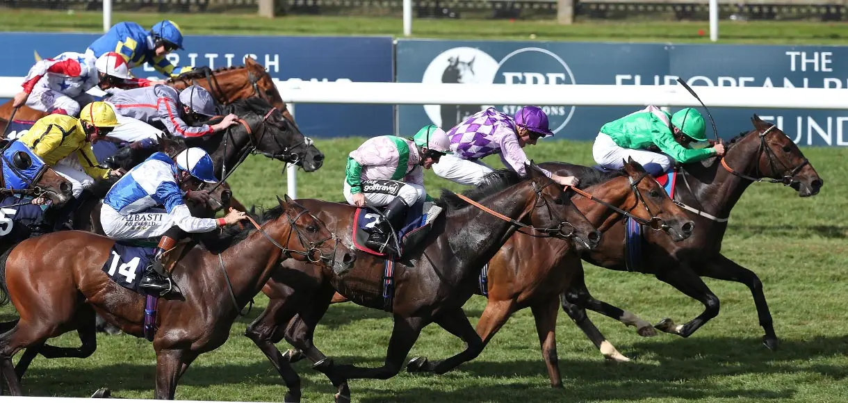 Bet your Bucks on Challenge Cup favourite