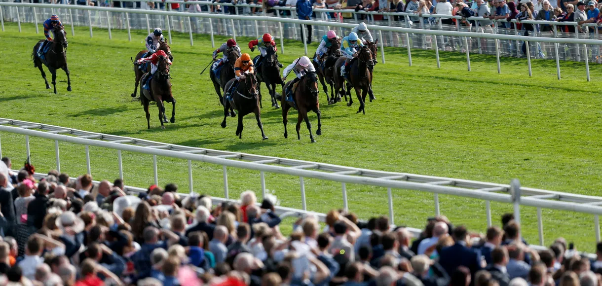 How to bet on horse racing