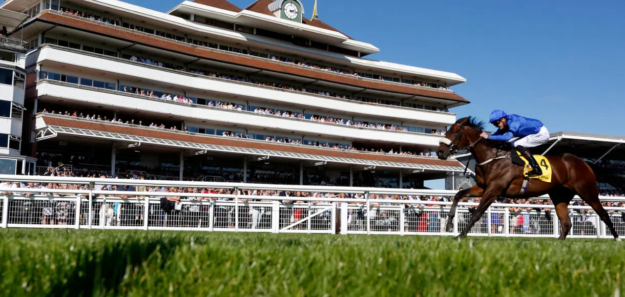 Saturday racing tips: Bets for Newbury and Newcastle 30 11 19