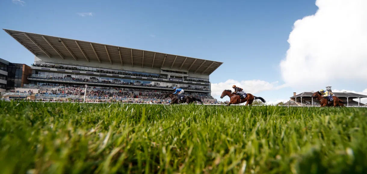 Saturday horse racing tips | 24th October 2020