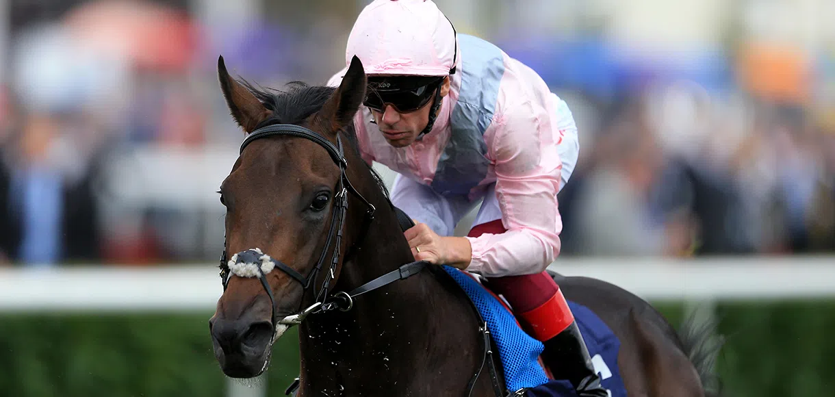 Saturday horse racing tips for Newmarket and York 13 10 18