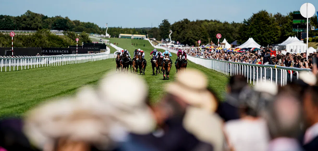 Horse racing betting: Glorious Goodwood Wednesday tips