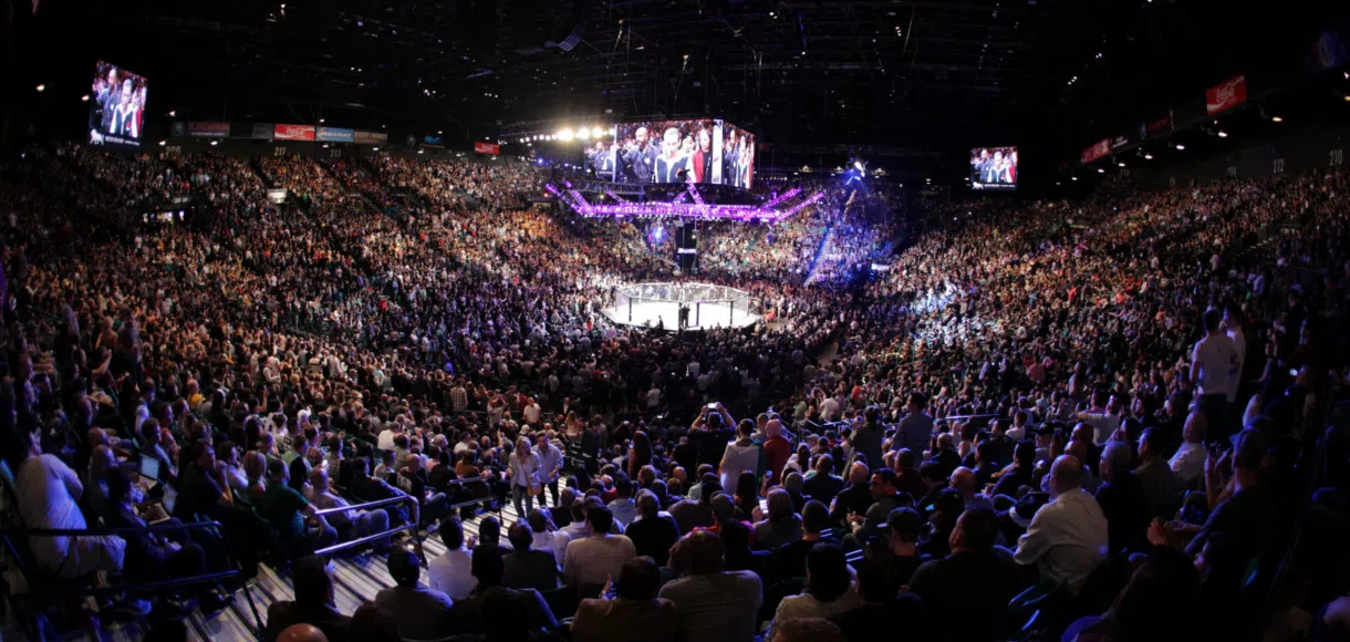UFC betting tips: Best bets for Barboza v Lee