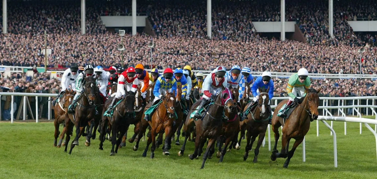 Cheltenham Horseplay Free Bet Competition