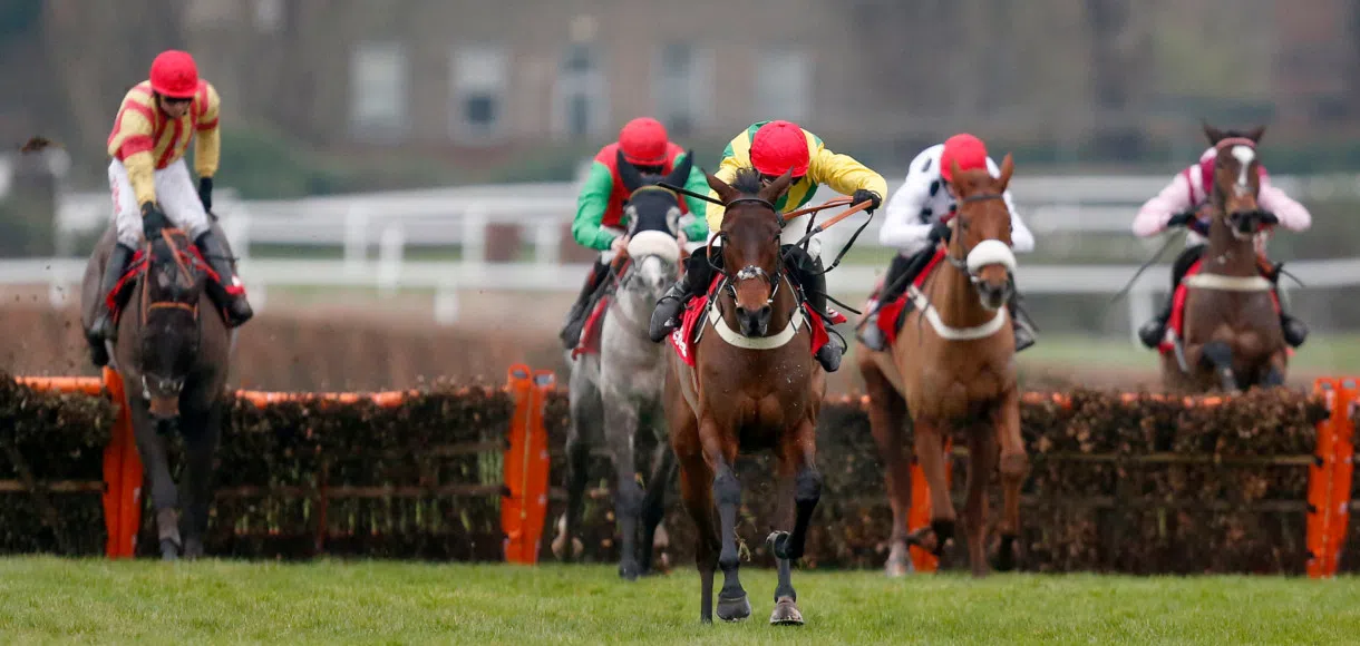 Richard Johnson: Tizzard has the firepower to be champion trainer